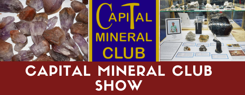 Capital Mineral Club Show — Village Silversmith